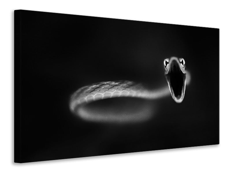 3-piece-canvas-print-vine-snake-strike