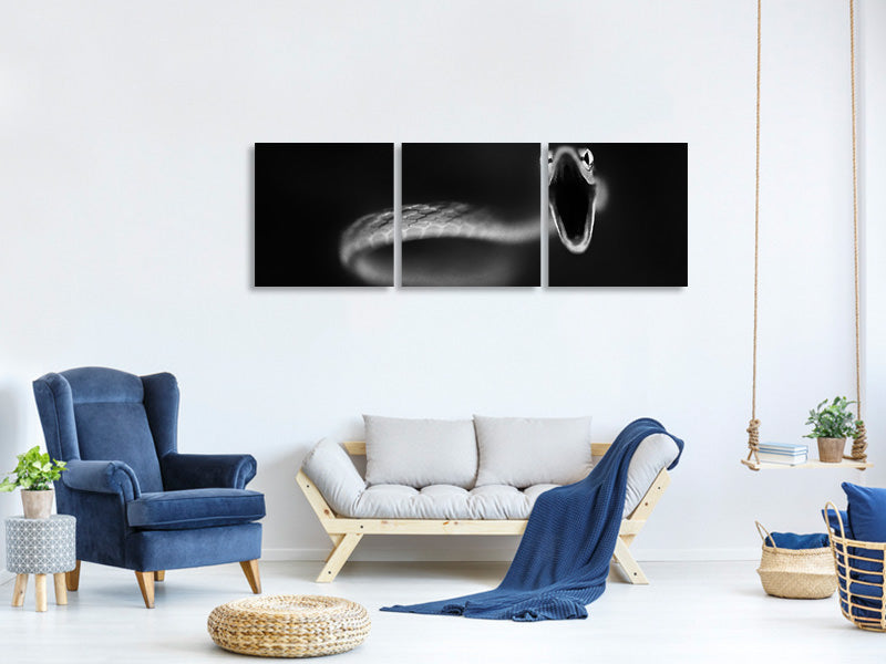 canvas-print-vine-snake-strike