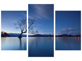 4-piece-canvas-print-wanaka-twilight