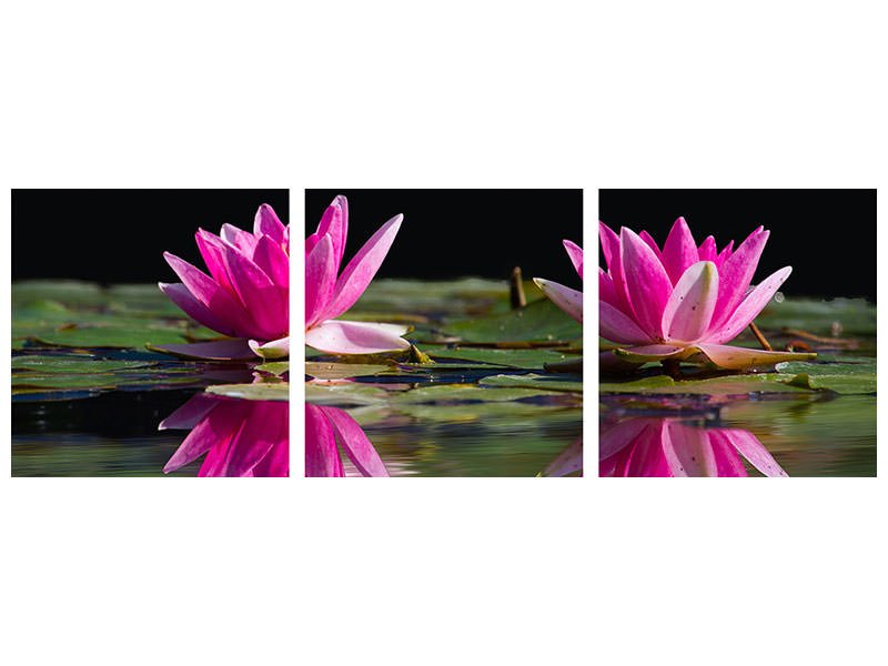 3-piece-canvas-print-water-lilies-duo-in-pink
