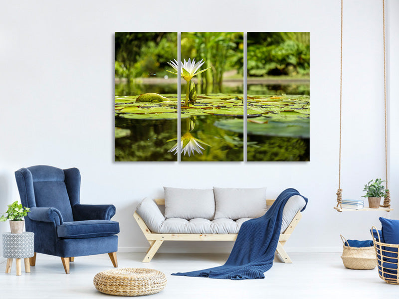 canvas-print-water-lily-in-nature