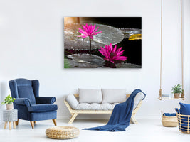 modern-4-piece-canvas-print-water-lily-in-the-morning-dew