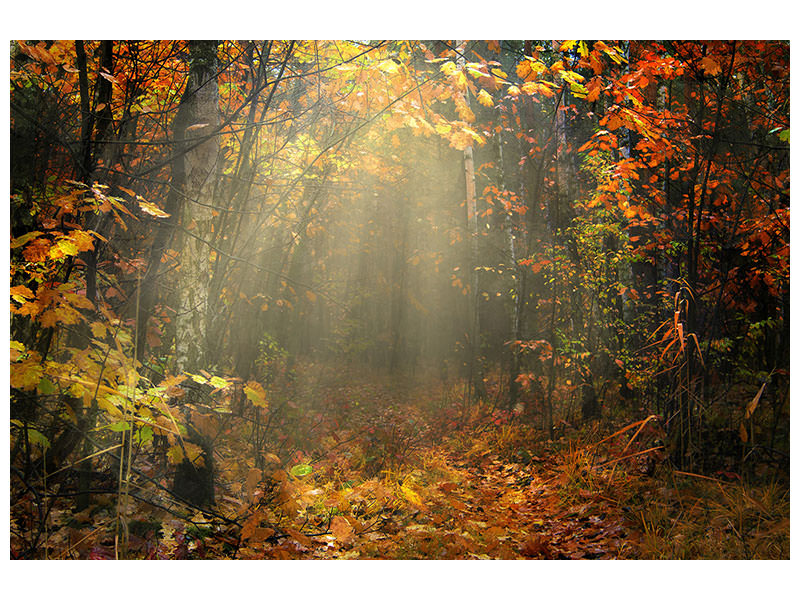 modern-4-piece-canvas-print-we-love-autumn