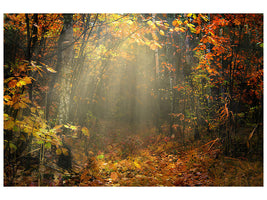3-piece-canvas-print-we-love-autumn