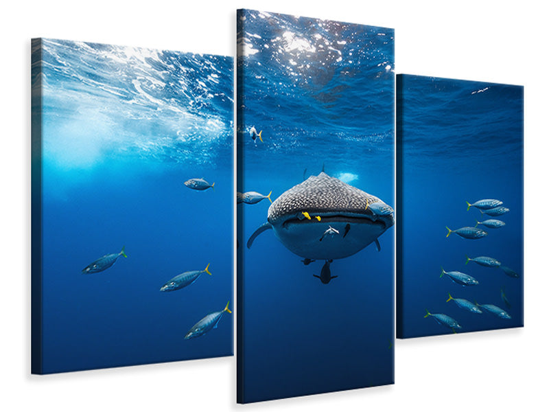 panoramic-3-piece-canvas-print-under-the-waves