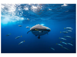 modern-3-piece-canvas-print-under-the-waves