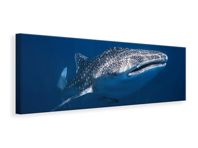 canvas-print-whale-shark