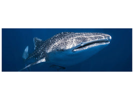 3-piece-canvas-print-whale-shark