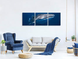 panoramic-canvas-print-whale-shark