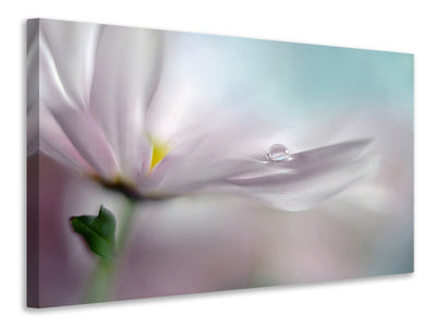 panoramic-3-piece-canvas-print-where-dreams-come-true