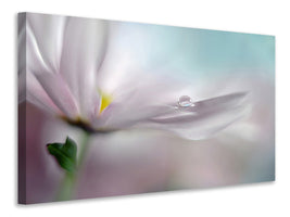 modern-3-piece-canvas-print-where-dreams-come-true