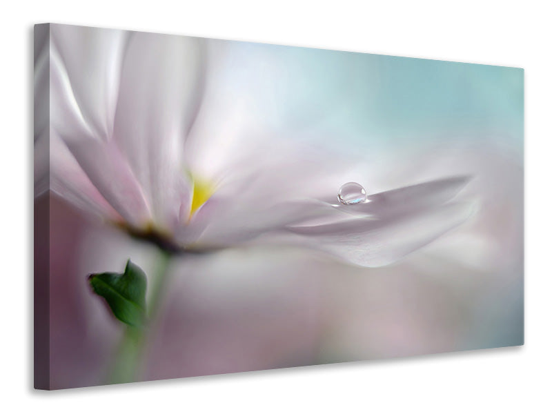 4-piece-canvas-print-where-dreams-come-true