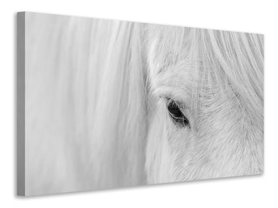3-piece-canvas-print-whisper-of-iceland
