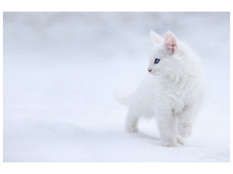 3-piece-canvas-print-white-as-snow