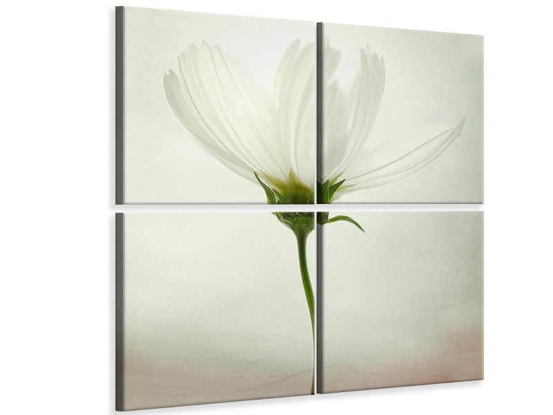 9-piece-canvas-print-white-cosmos