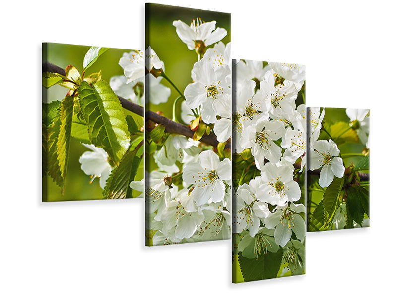 4-piece-canvas-print-white-flowers-in-xl
