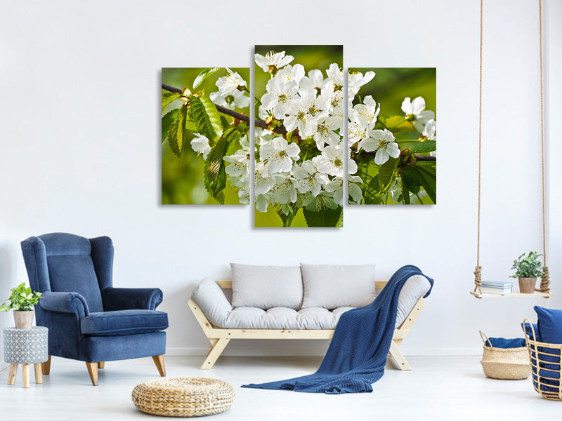 5-piece-canvas-print-white-flowers-in-xl