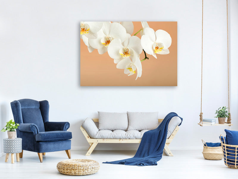 modern-4-piece-canvas-print-white-orchid-flowers
