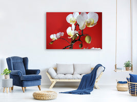 3-piece-canvas-print-white-orchids-on-red-wall