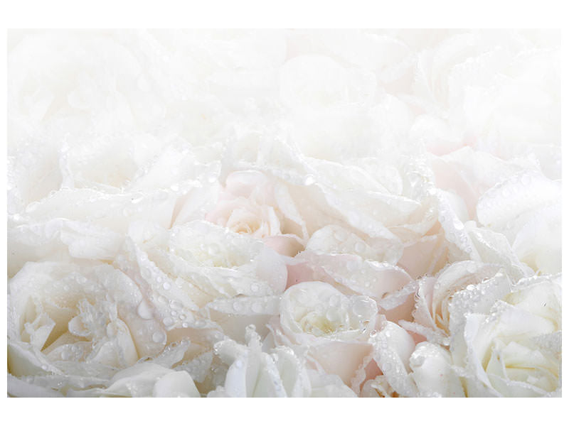 4-piece-canvas-print-white-roses-in-the-morning-dew