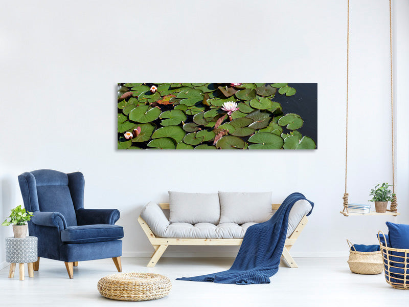 canvas-print-white-water-lilies-in-the-pond