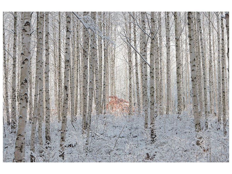 3-piece-canvas-print-white