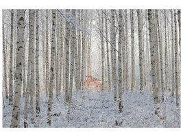 4-piece-canvas-print-white