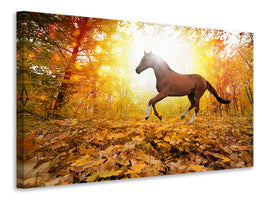 modern-4-piece-canvas-print-whole-blood-in-autumn-forest