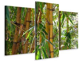 4-piece-canvas-print-wild-bamboo