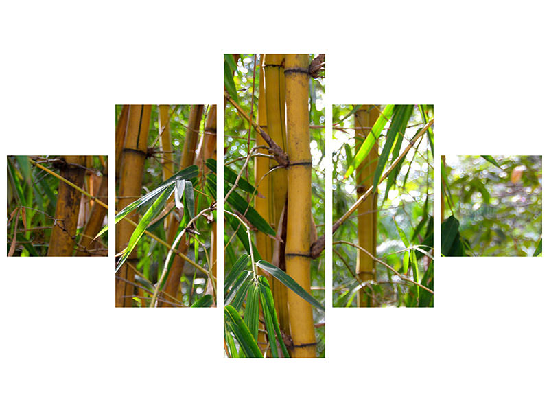 3-piece-canvas-print-wild-bamboo
