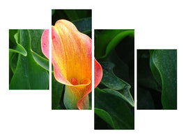 canvas-print-wild-calla