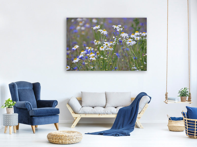 3-piece-canvas-print-wild-flower-meadow