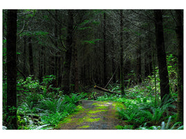 3-piece-canvas-print-wild-forest