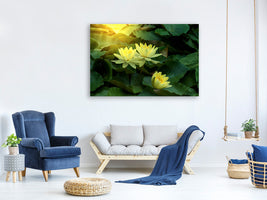 5-piece-canvas-print-wild-lotus