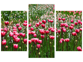 4-piece-canvas-print-wild-tulip-field