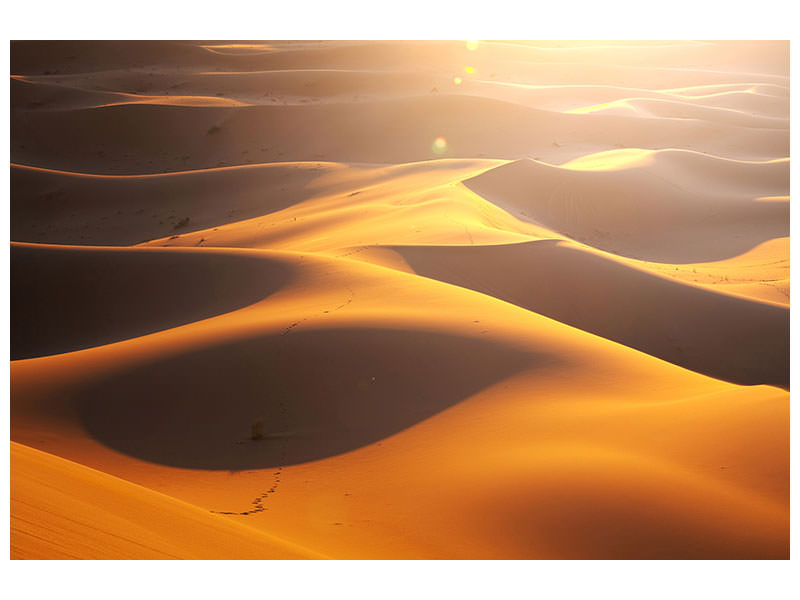 5-piece-canvas-print-wilderness-journey