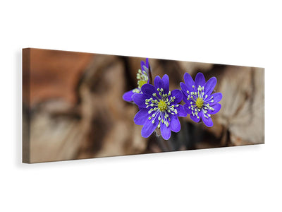 3-piece-canvas-print-wildflowers