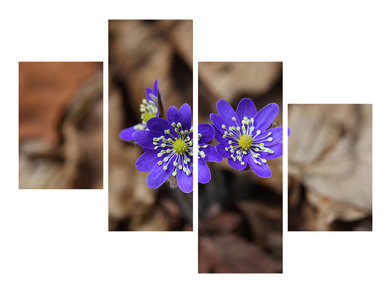 3-piece-canvas-print-wildflowers