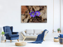 modern-4-piece-canvas-print-wildflowers