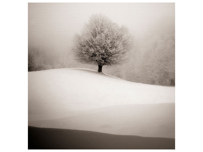 4-piece-canvas-print-winter-degradee