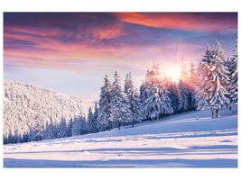 4-piece-canvas-print-winter-landscape