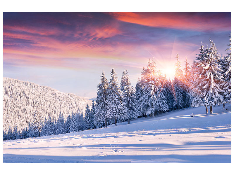 4-piece-canvas-print-winter-landscape