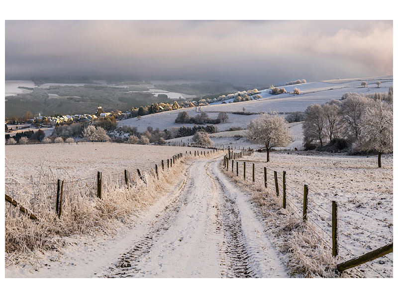 panoramic-3-piece-canvas-print-winter-wonderland