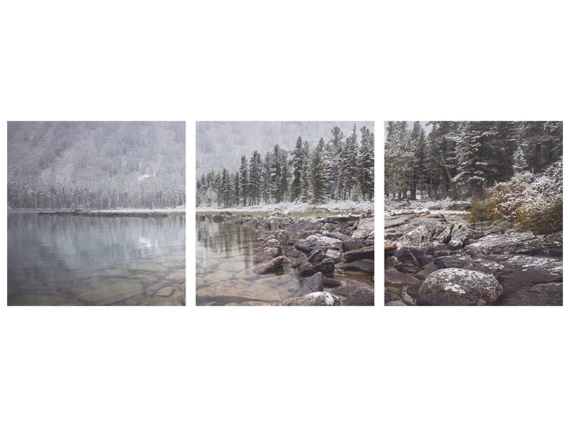 canvas-print-winter
