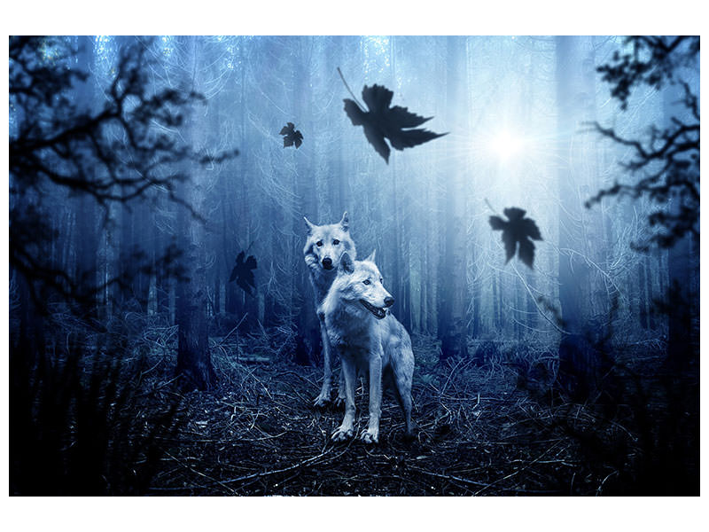 5-piece-canvas-print-wolf39s-couple