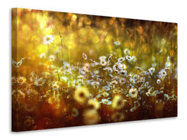 5-piece-canvas-print-wonderland