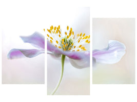 3-piece-canvas-print-wood-anemone