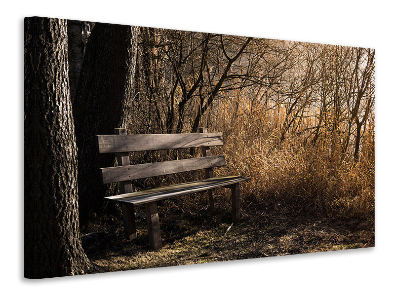 3-piece-canvas-print-wooden-bench-in-the-forest