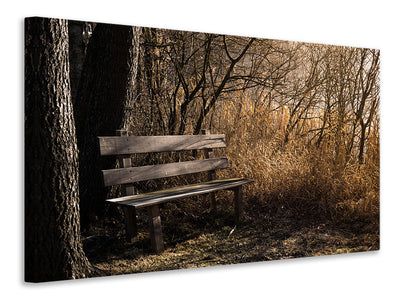 3-piece-canvas-print-wooden-bench-in-the-forest