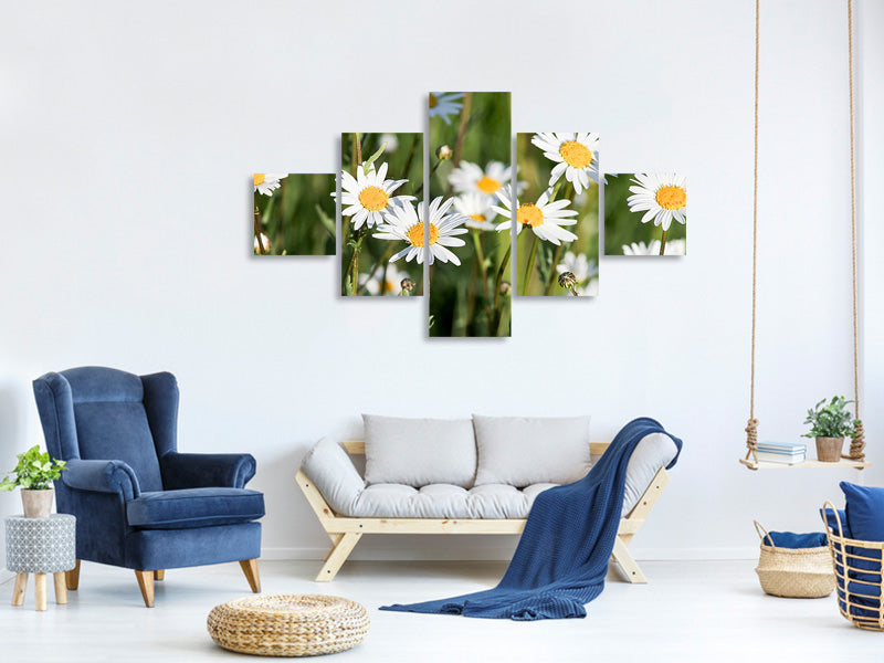 modern-4-piece-canvas-print-xl-daisies